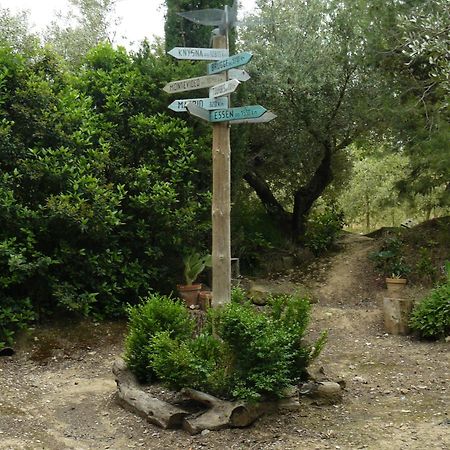 Casa Rural Torre De Campos Ainzon Kültér fotó